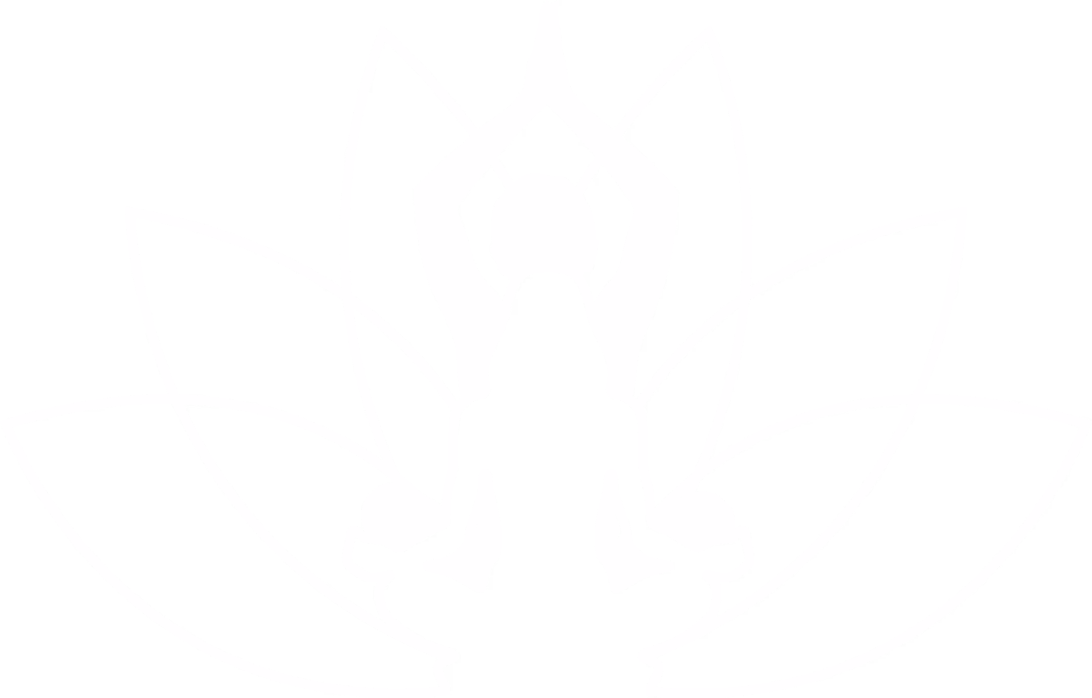 Paraíso Tantra