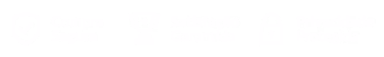 seguranca satisfacao e protecao 1